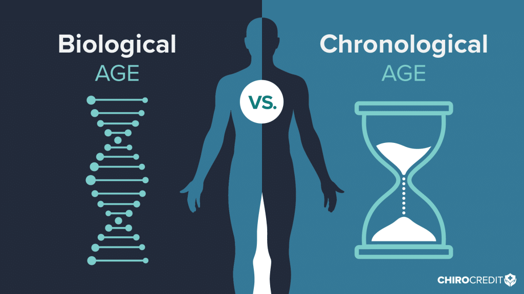 Graphic that compares aging attributable to genetics versus diet and lifestyle