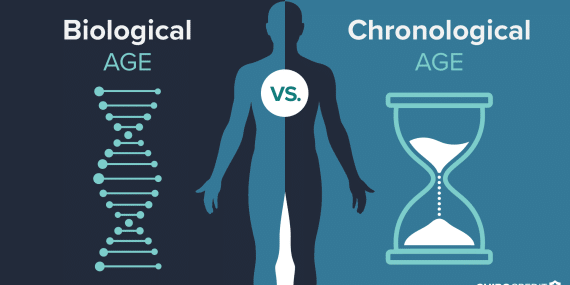 Illustration contrasting chronological age with physiological “real age” to represent healthy aging